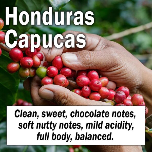 Honduras Capucas